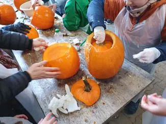 Kinder mit Schürzen und Handschuhen beim Aushöhlen großer orangefarbener Kürbisse an einem Holztisch.