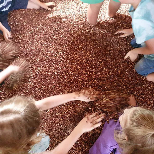 Kinder spielen in einem großen sensorischen Becken voller Kerne oder Bohnen.
